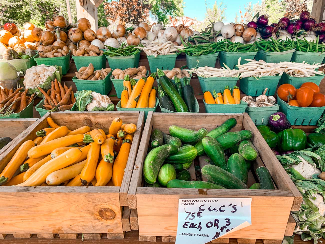 things to do in Prince Edward County - Farmers' Markets