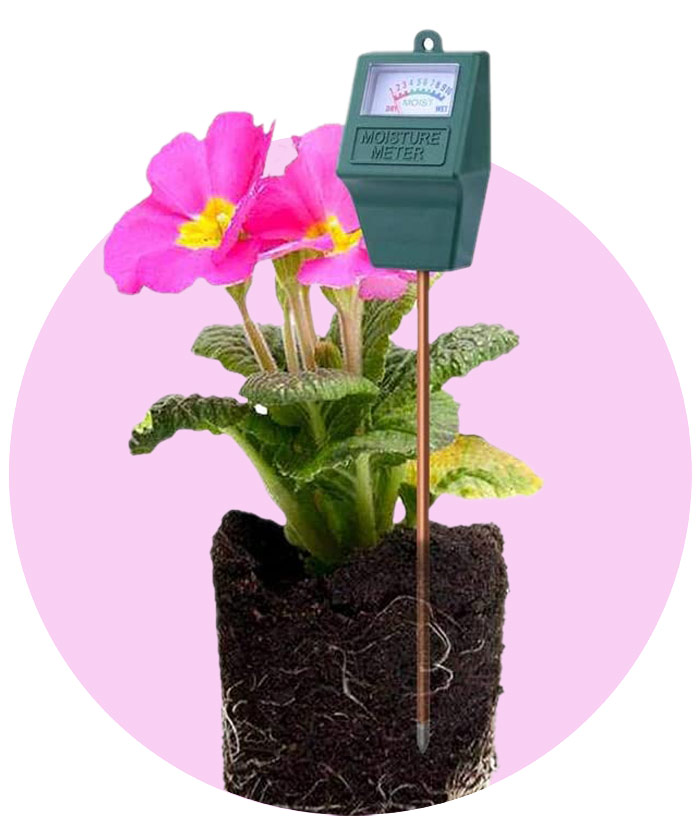 best plant accessories - soil moisture meter