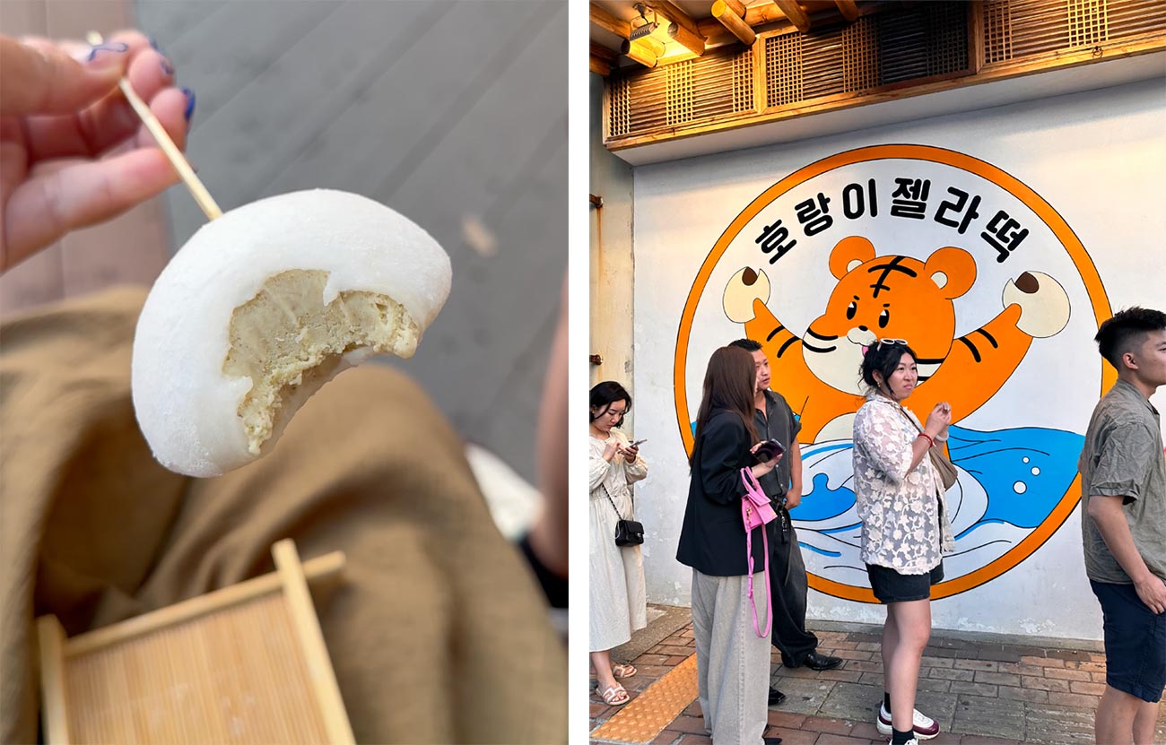 Food in Busan - Mochi ice cream - Horangi Jellatteok